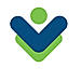 Visual Visitor Sales Intelligence logo