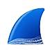 Wireshark logo