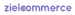 Zielcommerce logo