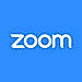 Zoom logo
