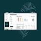 Insights and Analytics