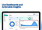 Live Dashboard