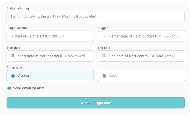 Budget Control Tag