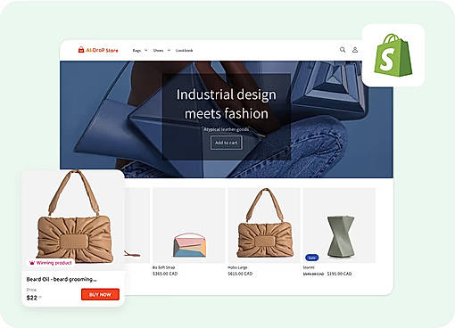 Shopify Stores