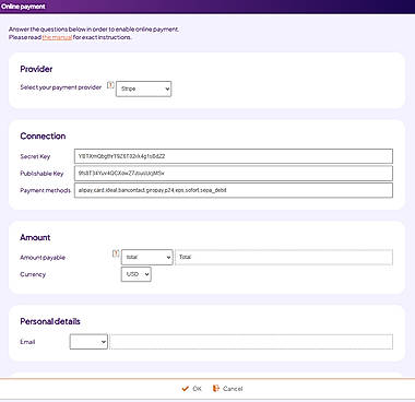 Online Payment