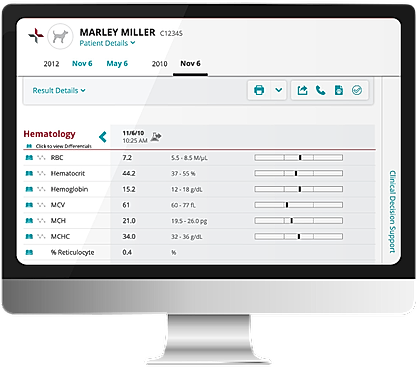 Patient Workflow