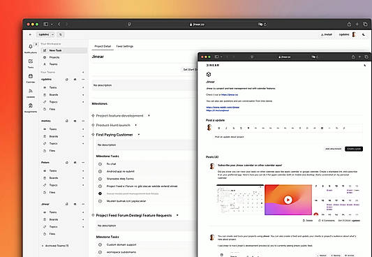 Project Details