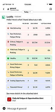 Finds fatiguing ads and scaling opportunities