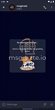 Login to msgmate