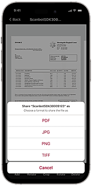 Multiple export formats