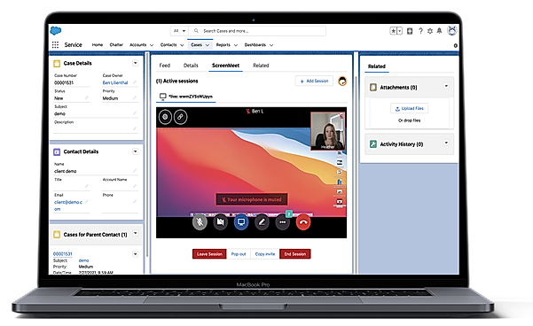 Voice and Video Chat