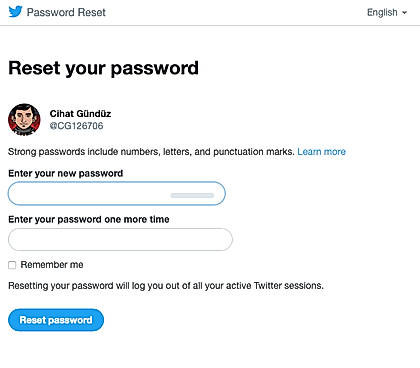 Reset Password