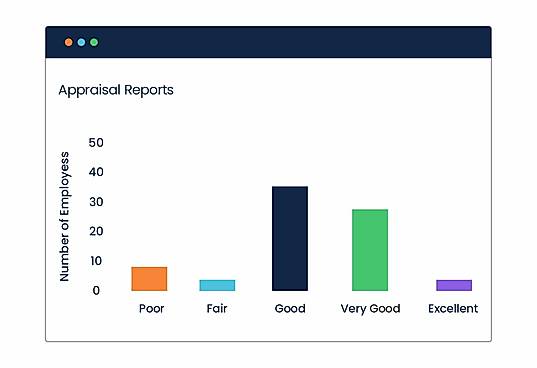 Reports 