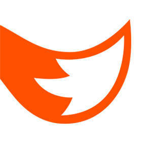 AdFox.ai logo