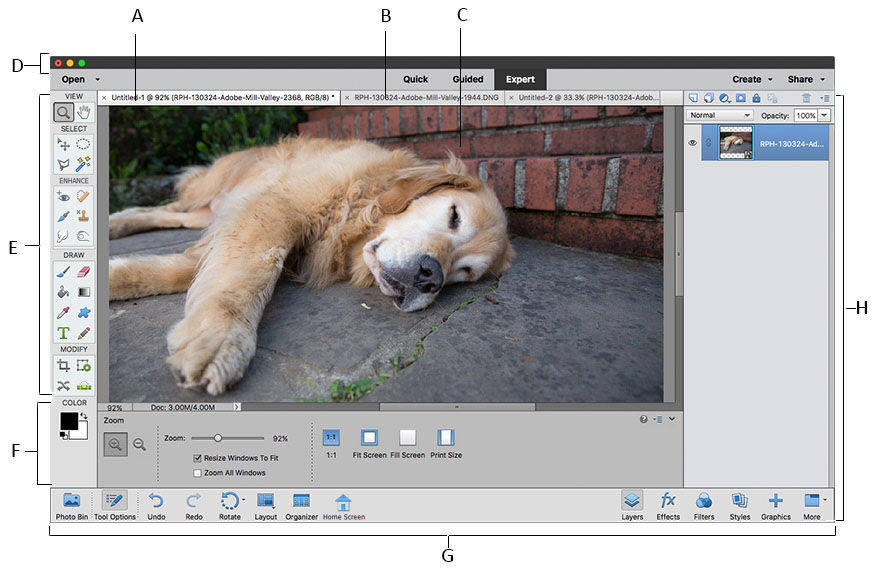 adobe photoshop elements price comparison