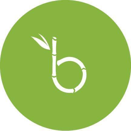 BambooHR logo