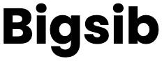 Bigsib logo