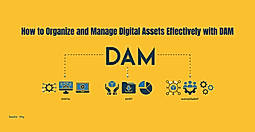 How to Organize and Manage Digital Assets Effectively with DAM