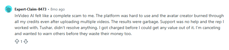 InVideo review