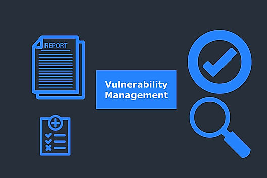 Top Vulnerability Management Tools in 2022