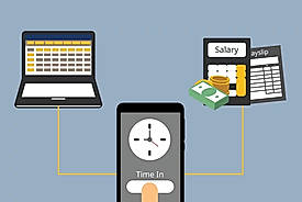 Category Compare: Payroll vs. HR Software