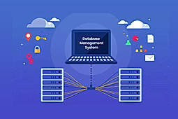 Top 5 Database Software in 2023