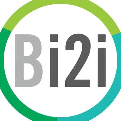 BRIDGEi2i logo
