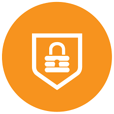 Examity logo
