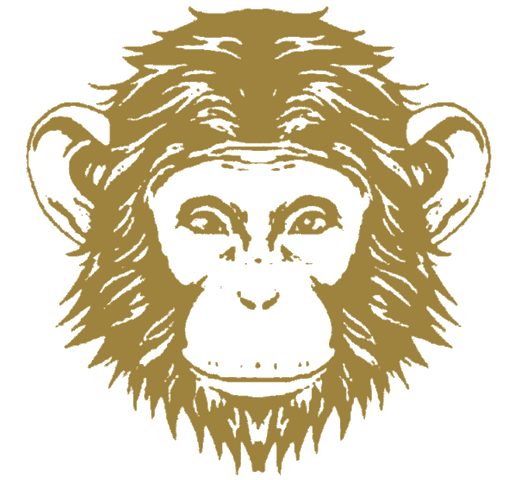 Omneky logo