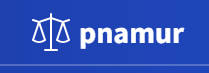 Pnamur logo
