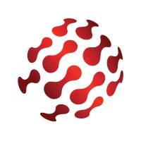 SANeForce logo