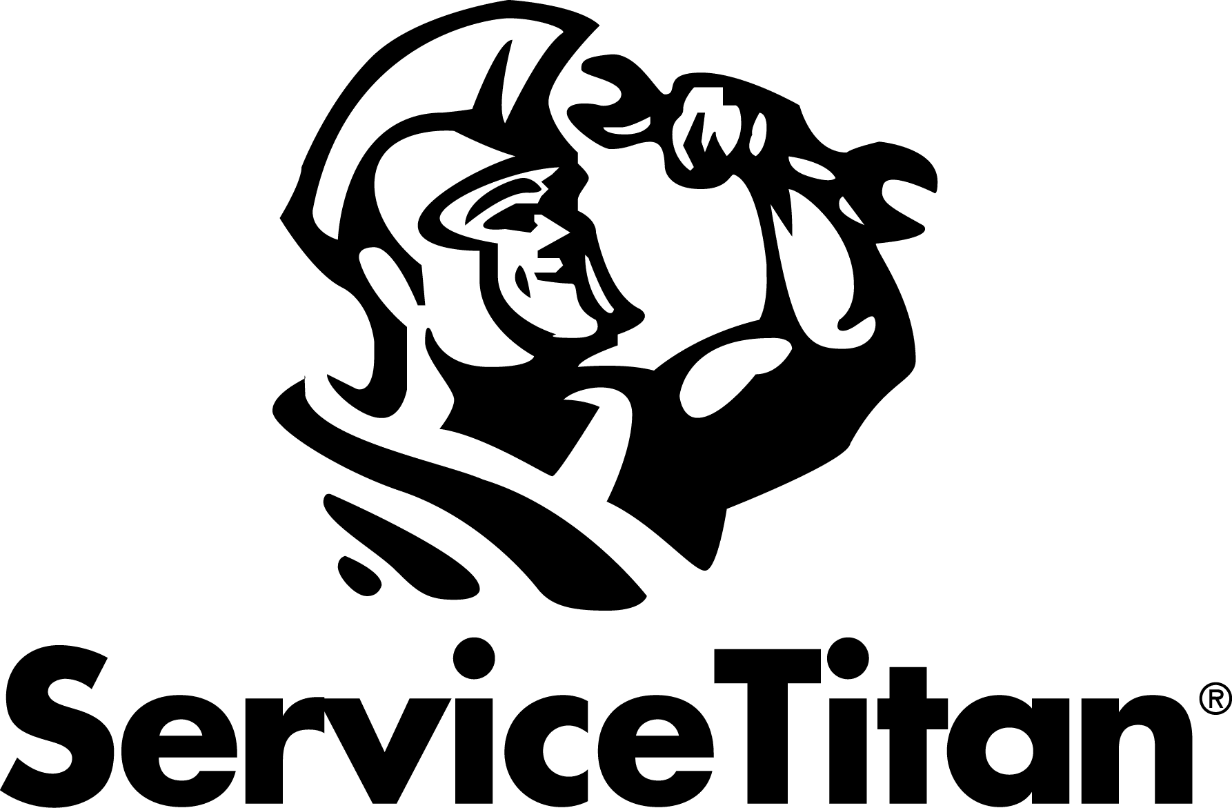ServiceTitan logo