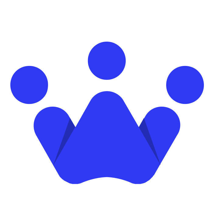 SkyPlanner APS logo