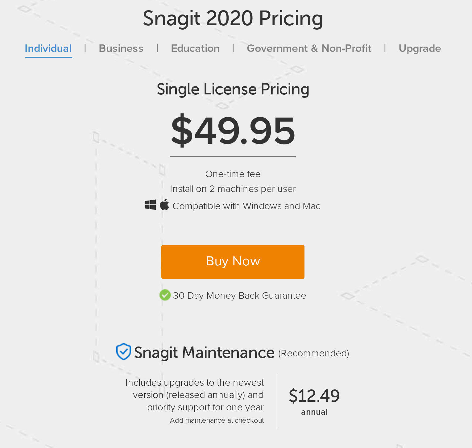 snagit price