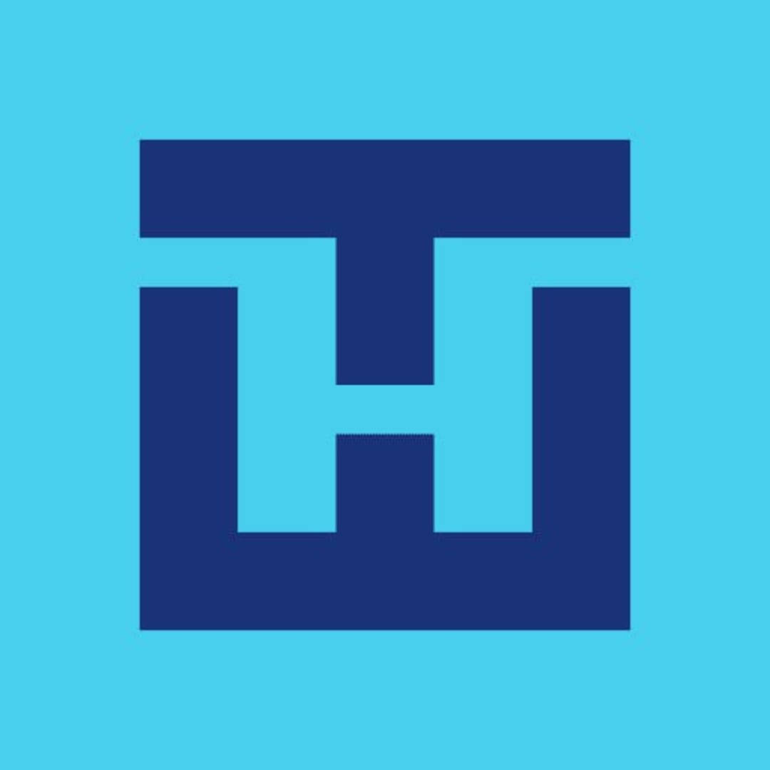 THE.Hosting logo