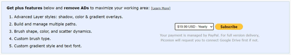 Piconion pricing 1
