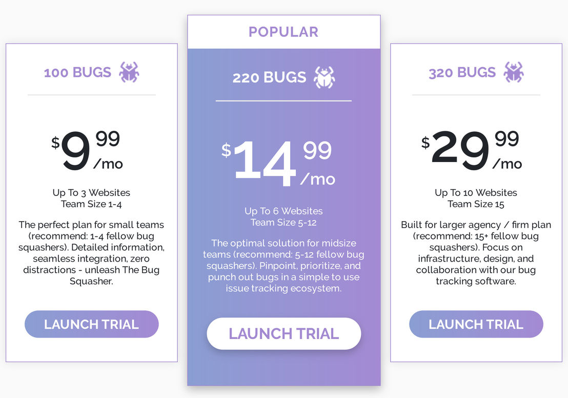 The Bug Squasher Pricing