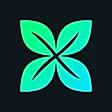 Crossmint
