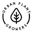 Urban Plant
