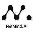 NetMind AI