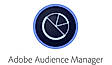 Adobe Audience Manager