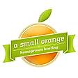 A Small Orange