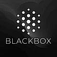 BLACKBOX AI