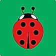 Buglet