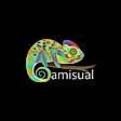 Camisual