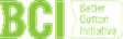 BCI