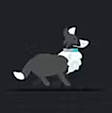 Corgi