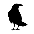Crow