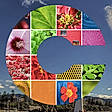 CryptoPhoto