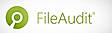 FileAudit
